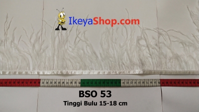 BSO 53  large2